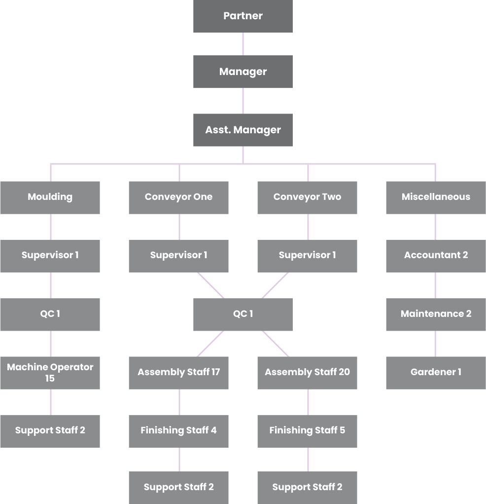 Company Structure